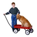 Relocation & Moving Information
